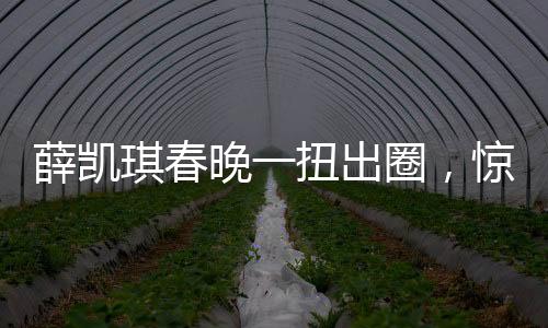 薛凱琪春晚一扭出圈，驚艷表演引發(fā)全民熱議