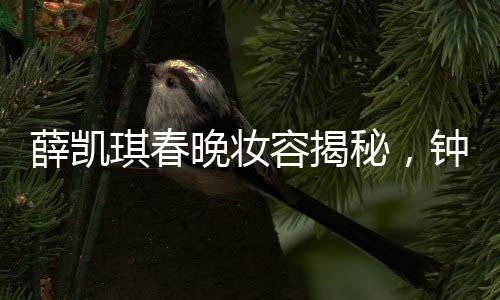 薛凱琪春晚妝容揭秘，鐘楚曦打造夢幻妝效，展現(xiàn)驚艷之美