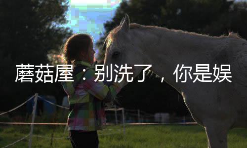 蘑菇屋：別洗了，你是娛樂老大哥
