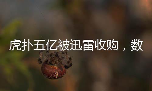 虎撲五億被迅雷收購，數(shù)字體育娛樂產(chǎn)業(yè)的重大變革