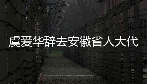 虞愛華辭去安徽省人大代表職務，開啟新的人生征程