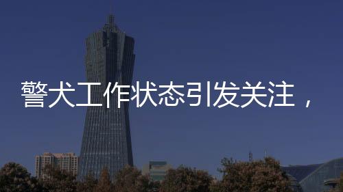 警犬工作狀態(tài)引發(fā)關(guān)注，上班時(shí)表現(xiàn)死氣沉沉，隨處尿尿引發(fā)討論