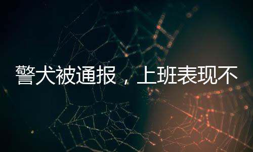 警犬被通報(bào)，上班表現(xiàn)不佳，死氣沉沉且到處尿尿
