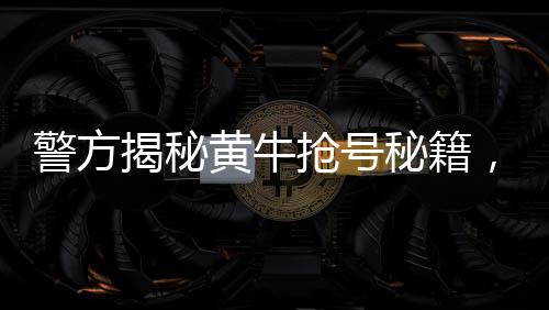 警方揭秘黃牛搶號秘籍，揭露非法手段，維護(hù)公平秩序