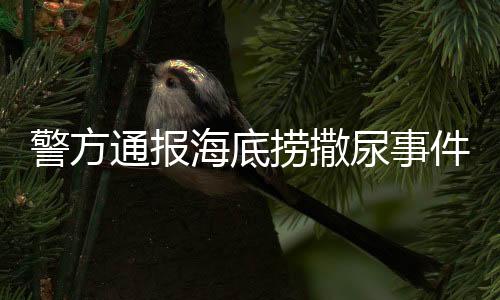 警方通報(bào)海底撈撒尿事件，揭開(kāi)真相，維護(hù)正義