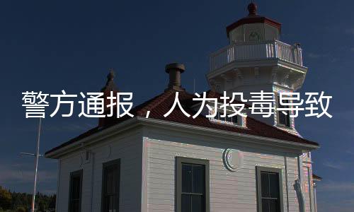 警方通報，人為投毒導(dǎo)致錦鯉大批死亡
