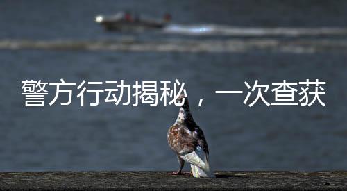 警方行動(dòng)揭秘，一次查獲80個(gè)泡泡瑪特玩偶的幕后故事