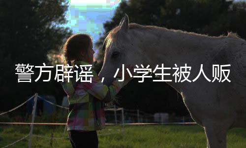 警方辟謠，小學(xué)生被人販子迷倒事件系謠言，呼吁公眾保持冷靜理智