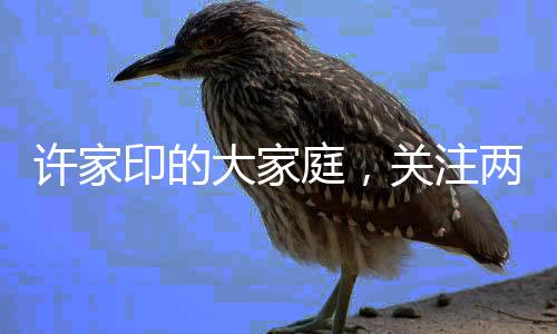 許家印的大家庭，關(guān)注兩名未成年子女的成長故事