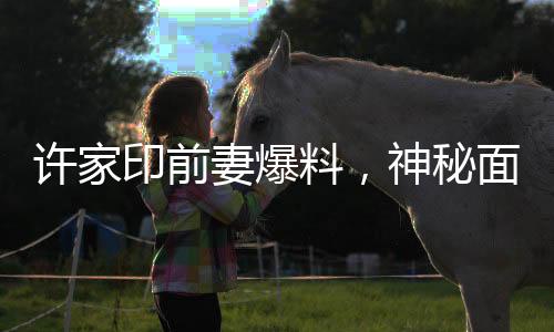 許家印前妻爆料，神秘面紗背后的未成年子女真相