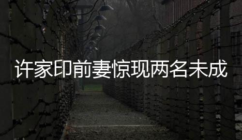 許家印前妻驚現(xiàn)兩名未成年子女，引發(fā)社會(huì)熱議