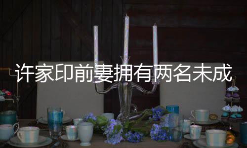 許家印前妻擁有兩名未成年子女，揭秘家庭私密話題