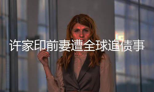 許家印前妻遭全球追債事件，深入解讀與多方反應(yīng)