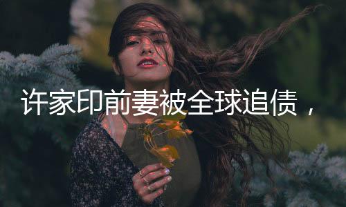 許家印前妻被全球追債，揭秘背后的故事