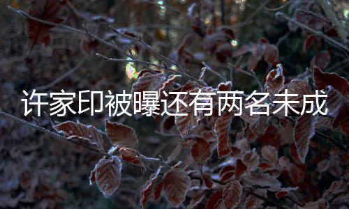 許家印被曝還有兩名未成年子女，揭秘商界巨頭背后的家庭秘密