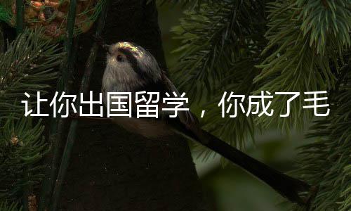 讓你出國留學(xué)，你成了毛熊總統(tǒng)