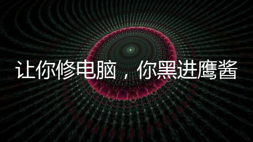 讓你修電腦，你黑進(jìn)鷹醬國防部？