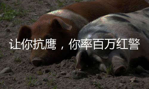 讓你抗鷹，你率百萬紅警吊打藍(lán)星