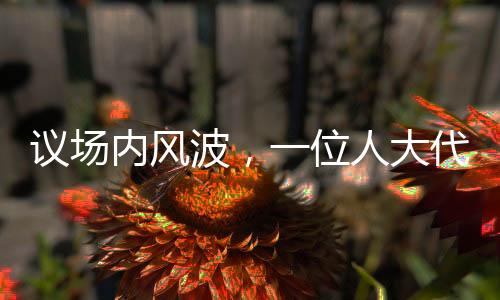 議場(chǎng)內(nèi)風(fēng)波，一位人大代表發(fā)言被三次打斷引發(fā)深思