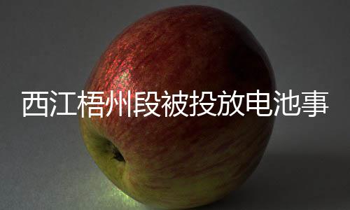 西江梧州段被投放電池事件揭秘，官方回應(yīng)