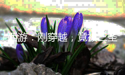 西游：剛穿越，竟被三圣母童養(yǎng)夫