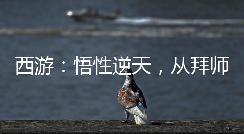 西游：悟性逆天，從拜師八戒開始