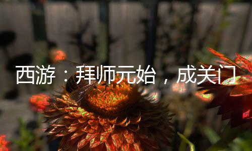 西游：拜師元始，成關(guān)門(mén)弟子！