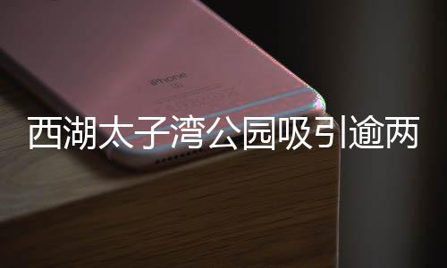 西湖太子灣公園吸引逾兩億人參與，旅游熱潮一浪高過一浪