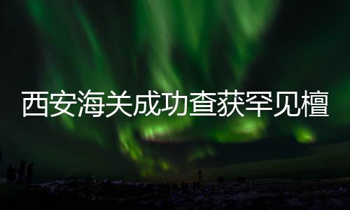 西安海關(guān)成功查獲罕見(jiàn)檀木三弦琴，彰顯文化保護(hù)重要性