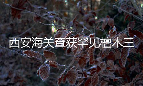 西安海關(guān)查獲罕見檀木三弦琴，文物保護與文化走私的較量