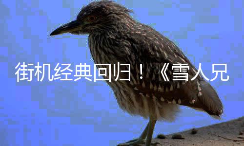 街機(jī)經(jīng)典回歸！《雪人兄弟2 特別版》登陸Steam與Switch平臺(tái)