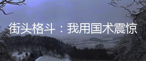 街頭格斗：我用國術(shù)震驚全球！