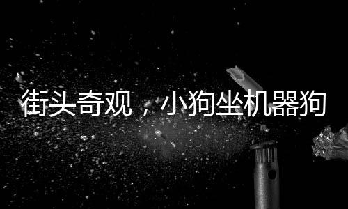 街頭奇觀，小狗坐機器狗逛街，驚呆路人