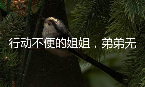 行動(dòng)不便的姐姐，弟弟無微不至的關(guān)愛