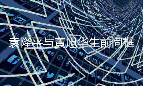 袁隆平與黃旭華生前同框瞬間，感動無數(shù)網友