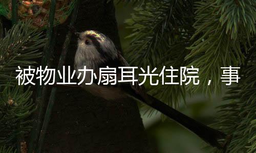 被物業(yè)辦扇耳光住院，事件背后的真相與反思