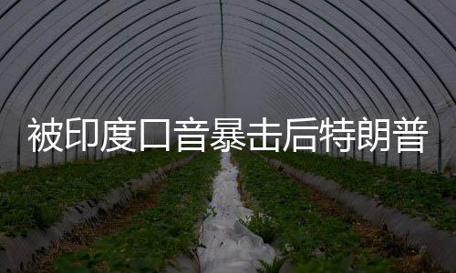 被印度口音暴擊后特朗普請了個翻譯，國際交流中的語言挑戰(zhàn)與應(yīng)對策略