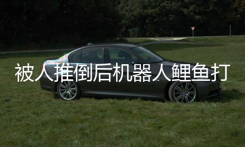 被人推倒后機(jī)器人鯉魚打挺起身，未來(lái)科技的驚人表現(xiàn)