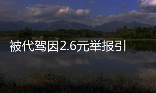 被代駕因2.6元舉報(bào)引發(fā)的KTV停業(yè)整頓事件