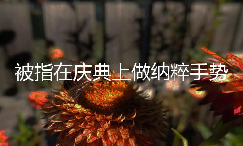 被指在慶典上做納粹手勢(shì)，馬斯克回應(yīng)