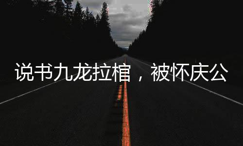 說書九龍拉棺，被懷慶公主倒追