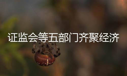 證監(jiān)會等五部門齊聚經(jīng)濟(jì)主題記者會，共話市場發(fā)展與監(jiān)管新動向