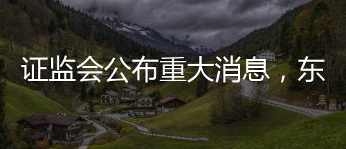 證監(jiān)會公布重大消息，東方集團涉嫌重大財務(wù)造假案件紀實