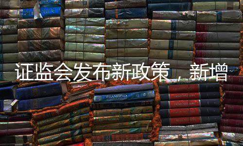 證監(jiān)會(huì)發(fā)布新政策，新增保費(fèi)的30%將投向A股市場(chǎng)
