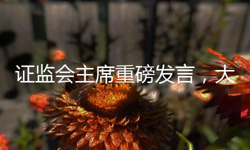 證監(jiān)會(huì)主席重磅發(fā)言，大事不過(guò)年，只爭(zhēng)朝夕，以?shī)^進(jìn)之姿開啟新的篇章