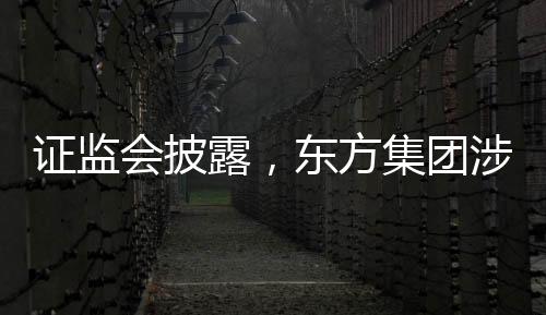 證監(jiān)會披露，東方集團涉嫌重大財務(wù)造假
