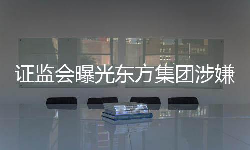 證監(jiān)會曝光東方集團(tuán)涉嫌重大財務(wù)造假案件揭秘