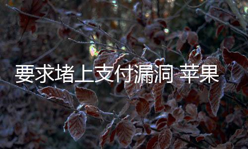 要求堵上支付漏洞 蘋(píng)果威脅拒絕更新微信、抖音