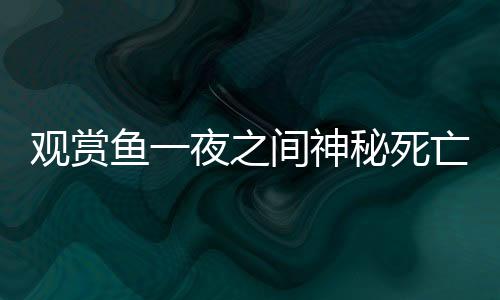觀賞魚一夜之間神秘死亡，引發(fā)愛好者關(guān)注與熱議