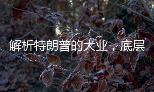 解析特朗普的大業(yè)，底層邏輯揭秘